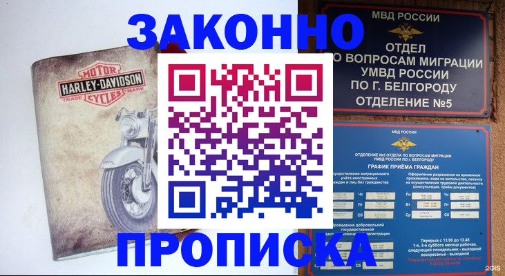 прописка для школы в Фрязино